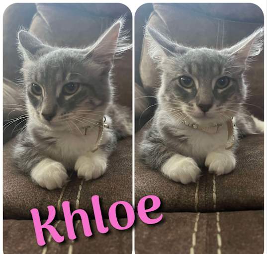 Photo of Khloe