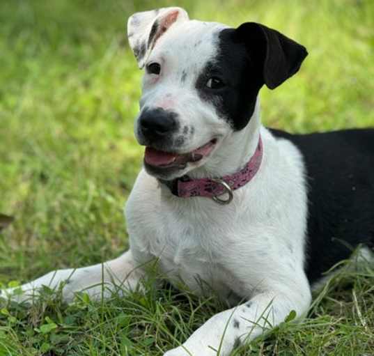 Photo of FRISBEE