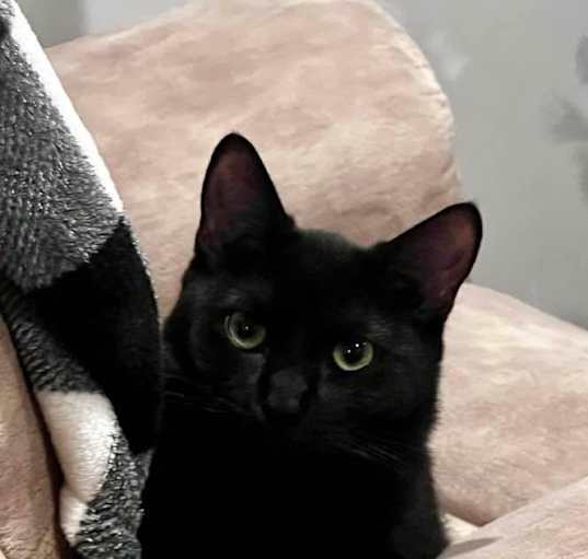 Photo of MAGGIE