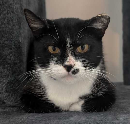 Photo of Wednesday