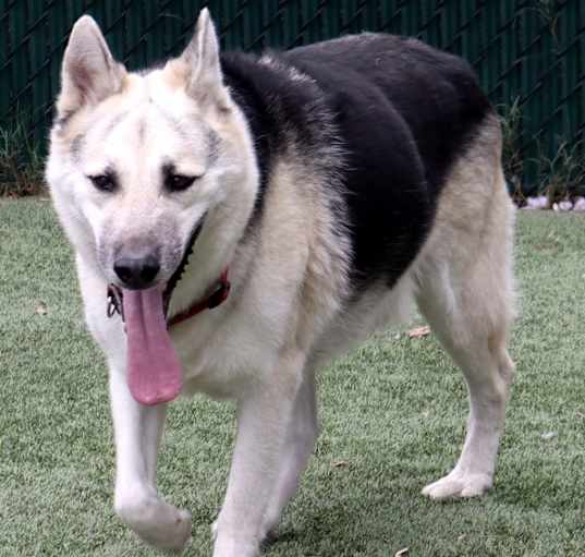 Photo of Hunter