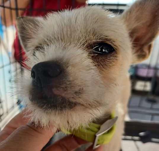 Photo of Suzi