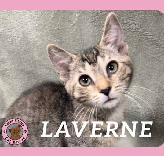 Photo of Laverne