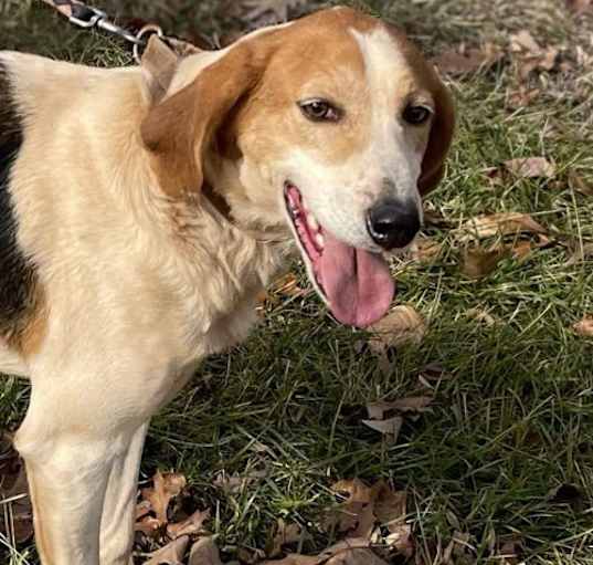 Photo of Gregory: Not At the Shelter (Wendy)