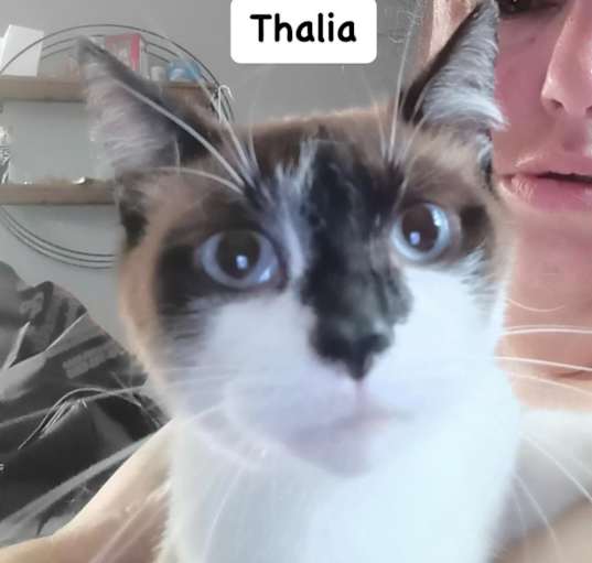 Photo of Thalia