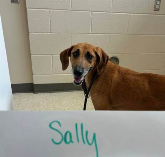 Photo of Sally