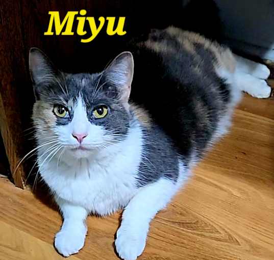 Photo of Miyu