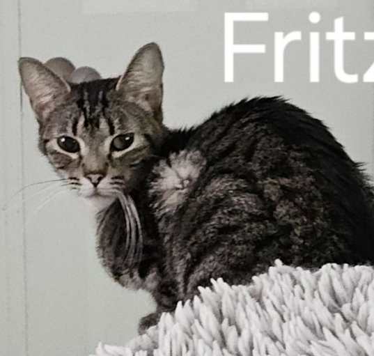 Photo of Fritzie