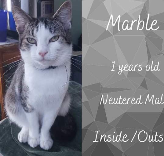 Photo of Marbles