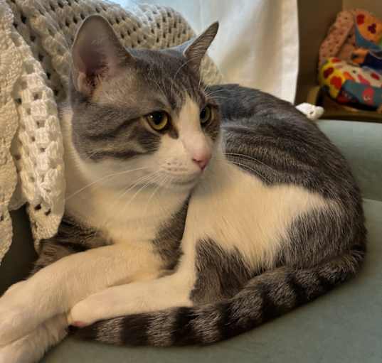 Photo of Fez