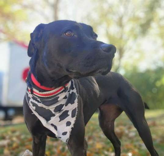 Photo of Violet