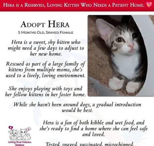 Photo of Hera