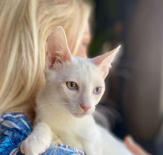 Photo of Mavi & Major