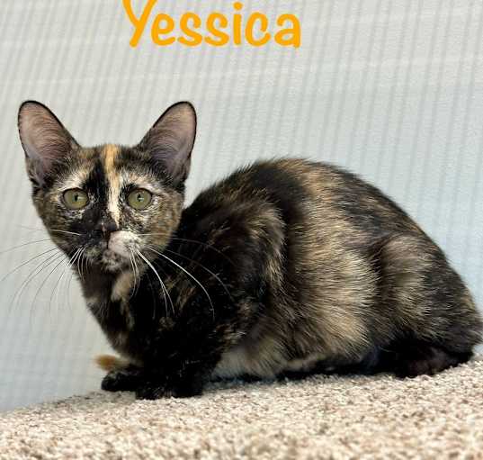 Photo of Yessica