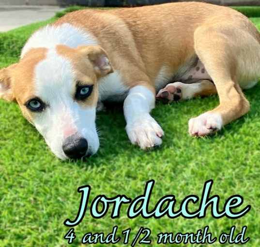 Photo of Jordache