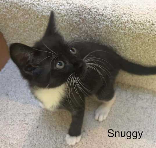 Photo of Snuggy