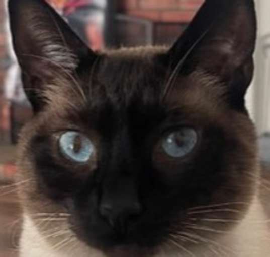 Photo of Zuko