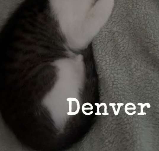 Photo of Denver