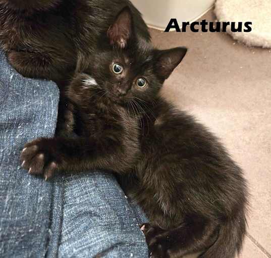 Photo of Arcturus