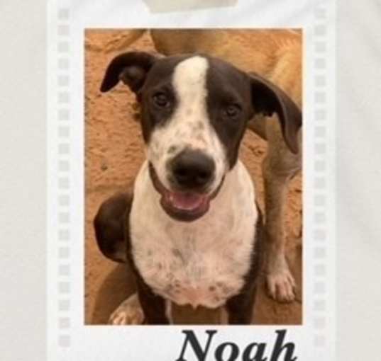 Photo of Noah