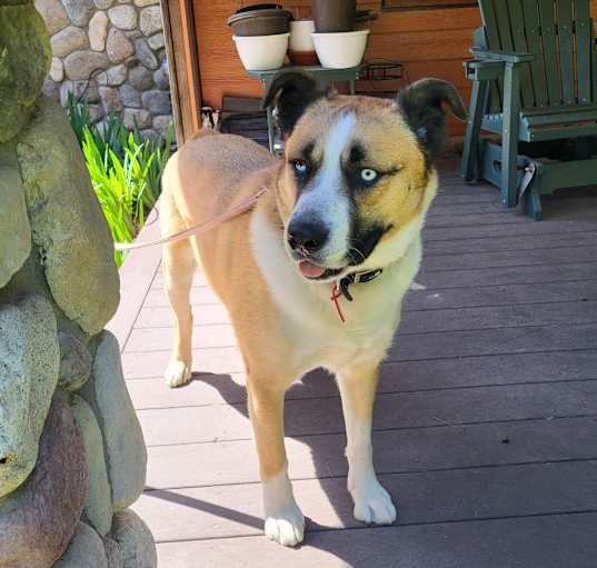 Photo of dapper “Deuce” 👔