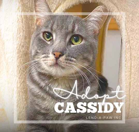 Photo of Cassidy