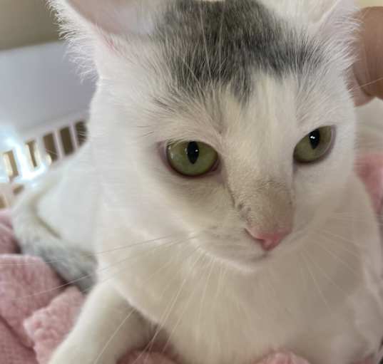 Photo of Alice