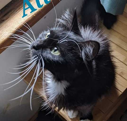 Photo of Alice