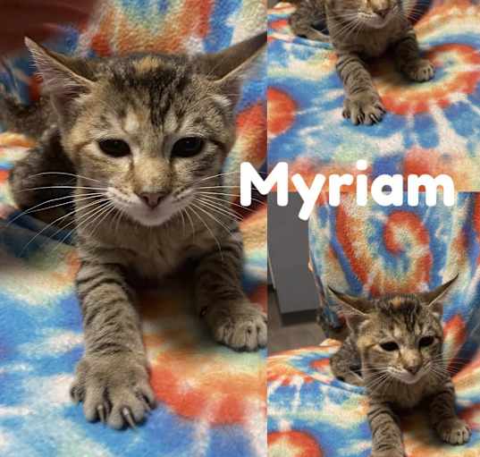 Photo of Myriam