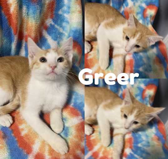 Photo of Greer