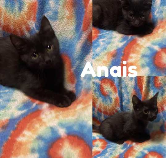 Photo of Anais