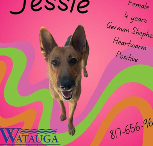 Photo of JESSIE