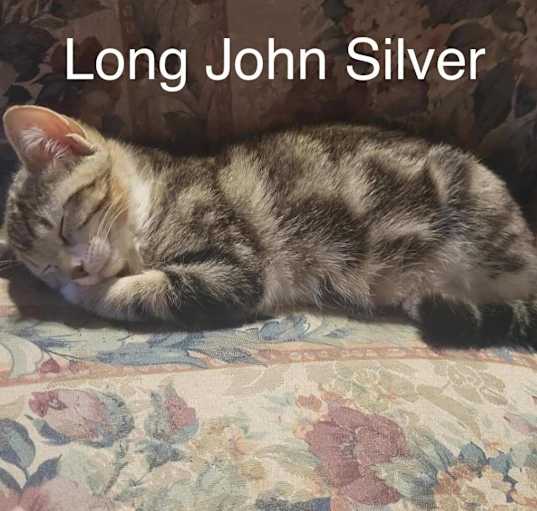 Photo of Long John Silver (Silver)