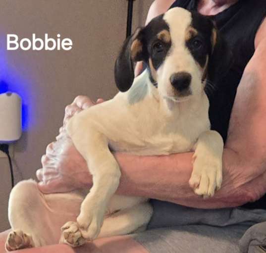 Photo of Bobbie