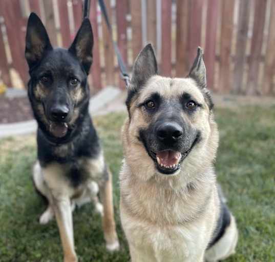 Photo of Chico (with Bear)