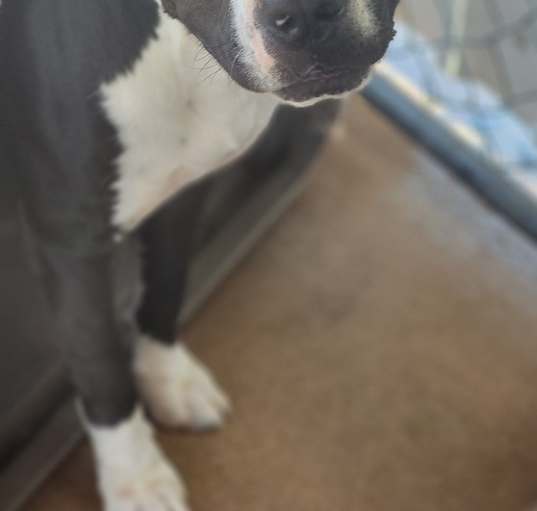 Photo of Jack