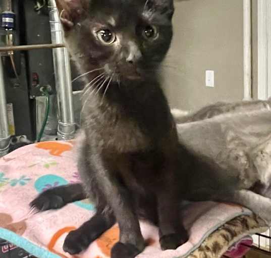 Photo of Charlotte bonded with brother Cooper