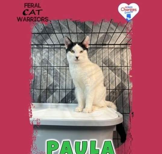 Photo of Paula