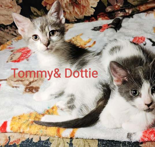 Photo of Tommy and Dotty