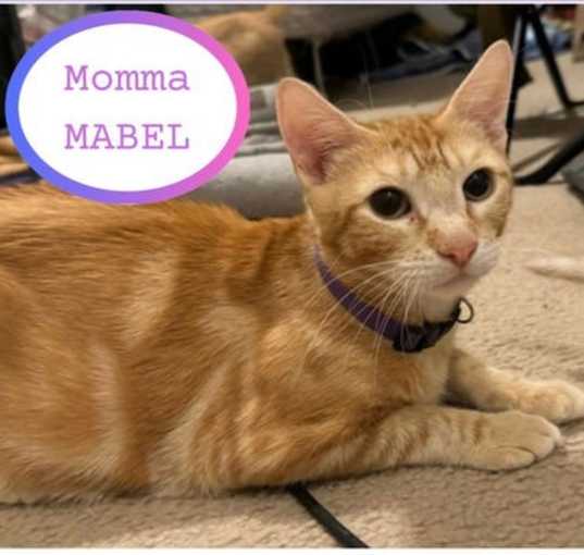 Photo of Mabel