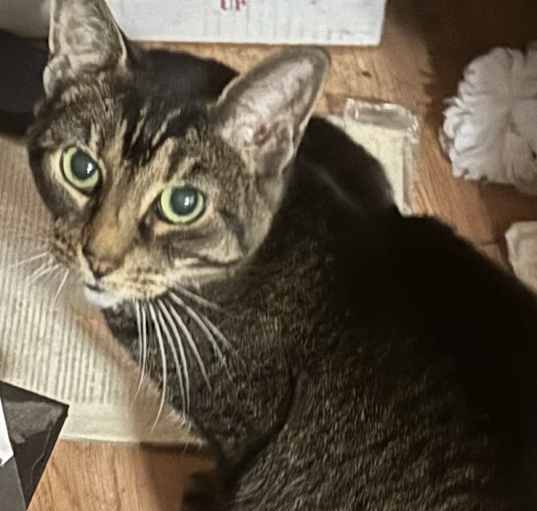 Photo of Unsure
