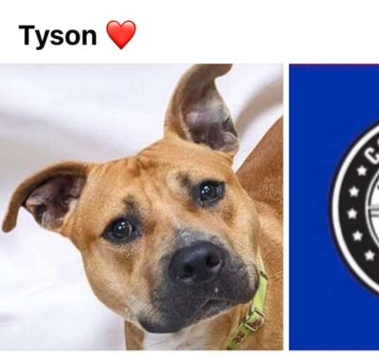 Photo of TYSON