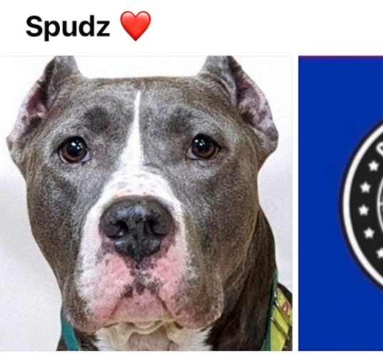 Photo of SPUDZ