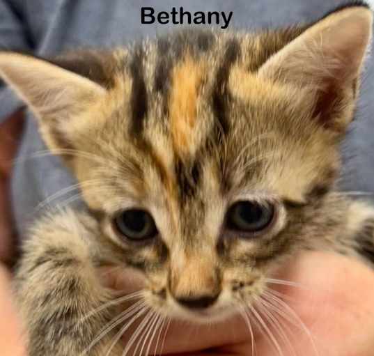 Photo of Bethany