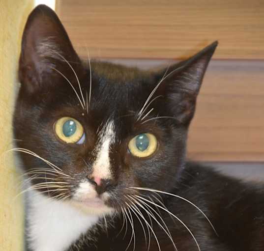 Photo of Rowena