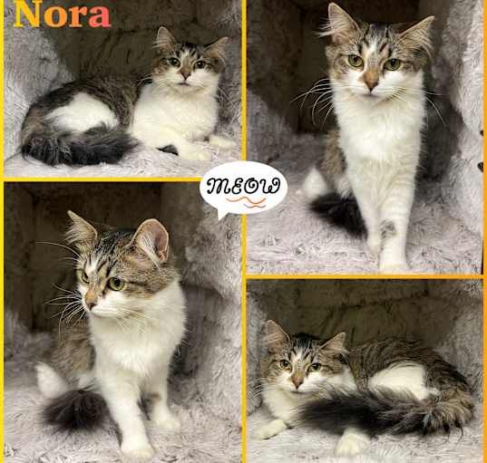 Photo of Nora