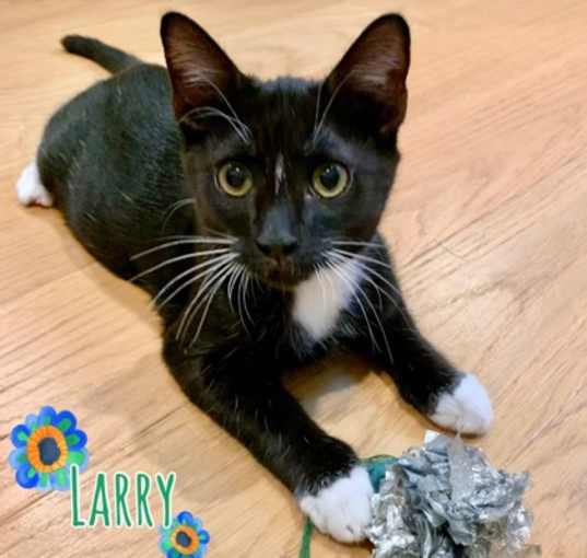 Photo of Larry