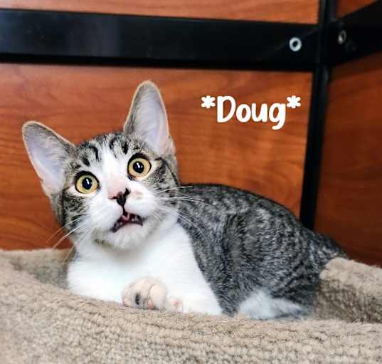 Photo of Doug