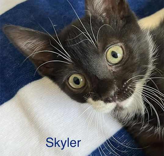 Photo of Skyler