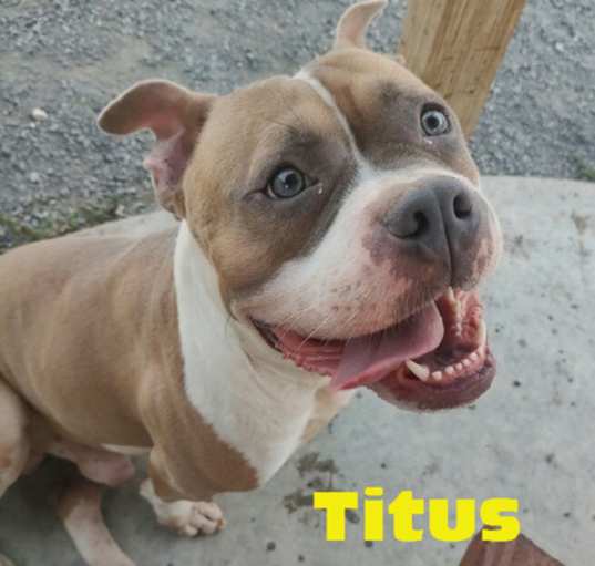 Photo of Titus